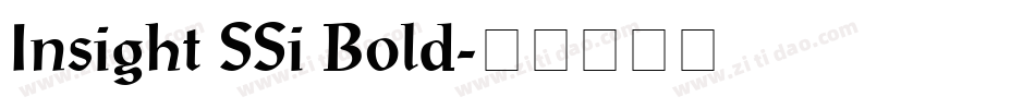 Insight SSi Bold字体转换